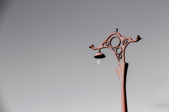 Vencejo mirando al mar desde la farola